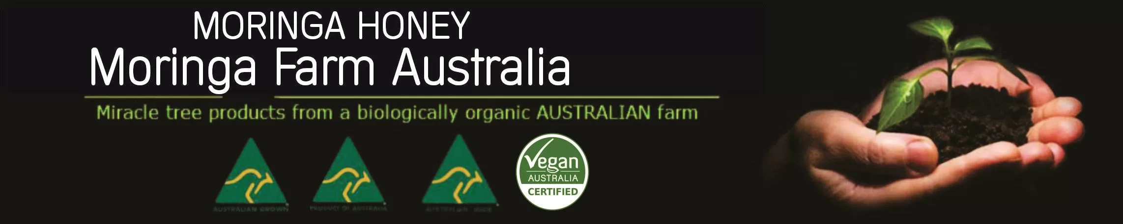 Moringa HONEY, Moringa Farm Australia